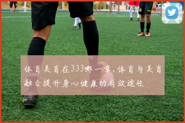 体育美育在333哪一章,体育与美育融合提升身心健康的有效途径